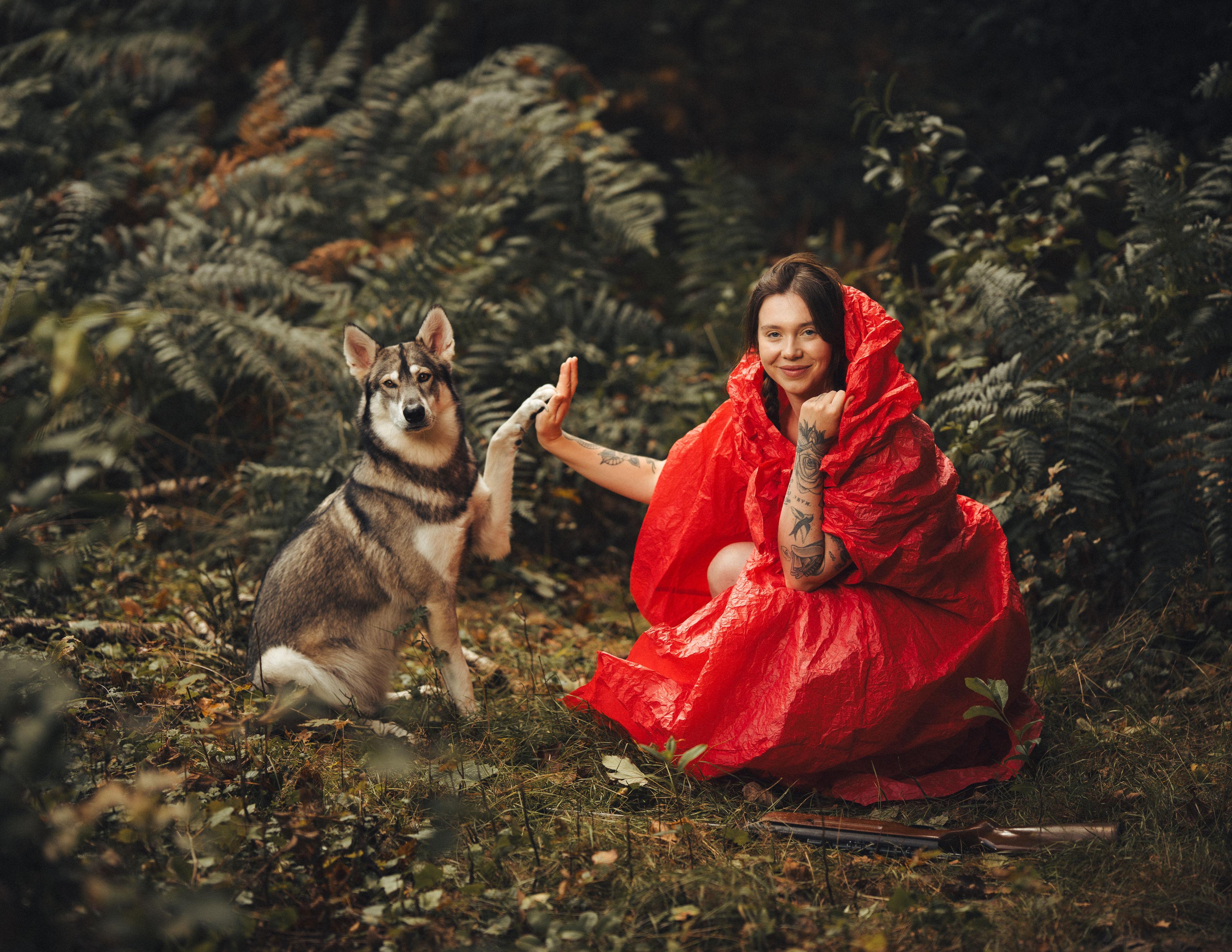 Northern Inuit dog die poseert naast roodkapje in een fotoproductie